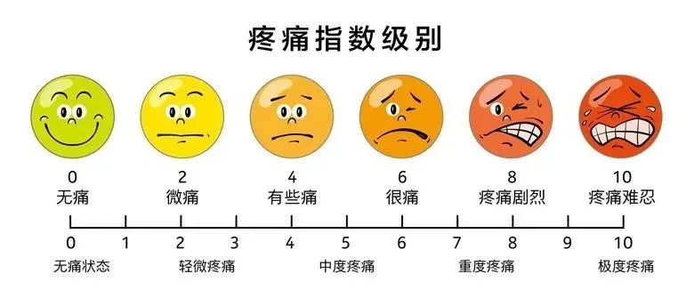 等级2.webp.jpg